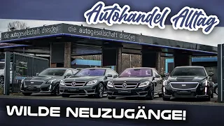 Zurück im Autohandel | Es gibt viel zu erzählen! | Neue Ware & Stories ohne Ende | MadSunday