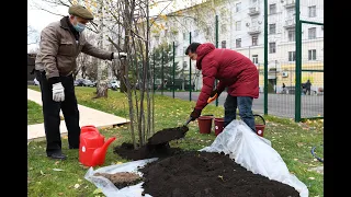 Ильсур Метшин принял участие в посадке деревьев в Кировском районе Казани