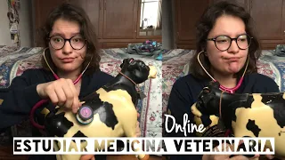 ¿Y las prácticas? Ser o no ser... 🥴 Medicina  Veterinaria y Zootecnia en línea