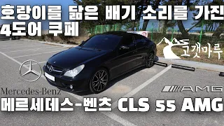 [차량리뷰] 호랑이를 닮은 배기소리를 가진 4도어 쿠페 메르세데스-벤츠  W219 CLS 55 AMG Mercedes-Benz 이민재