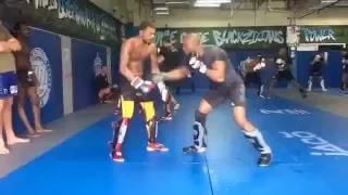 UFC fighters Michael Johnson & Kamaru Usman brawl in the gym! went hard!