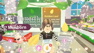 Butterfly Sanctuary Update in Roblox Adopt Me - Golden Leaf giveaway