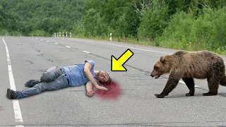 He Got Injured And Fell On The Ground. Then A Bear Heard His Moans It Did The Unthinkable!