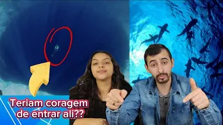 Motivos para você nunca entrar no mar!! #viral