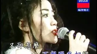 [王菲.-.最精彩演唱会].Faye.Wong.Live.In.Concert.READ.NFO.1994.DVDRip.XviD.iNT-SSU.sample