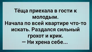 Наглая Теща Пришла к Молодым! Сборник Свежих Анекдотов! Юмор!