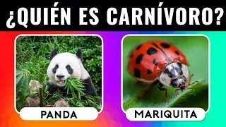 Adivina el Animal por su COMIDA 🐝 Quiz de ANIMALES 🦋 ANIMAL QUIZ