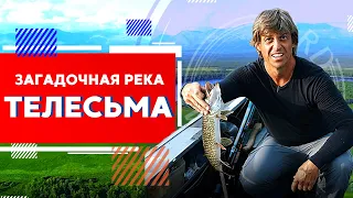 Загадочная река Телесьма впадает в никуда. Ловим щук | Рыбалка | Северный Байкал | Nord Baikal