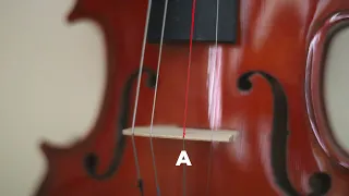 Ultimate Violin Tuning  - Easy and Fast