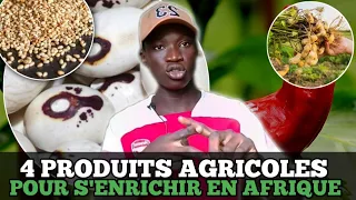 Voici 4 PRODUITS AGRICOLES qui Vous rendront RICHE en Afrique/investir au pays