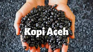 Cara Buat Bubuk Kopi || Robusta Coffee Making Process Starting from Seeds