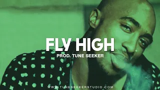 G-funk Rap Beat West Coast Hip Hop Instrumental - Fly High (prod. by Tune Seeker)