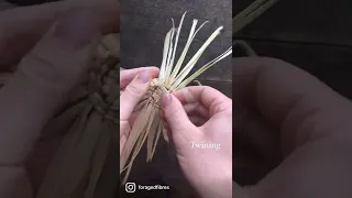 Corn husk weaving