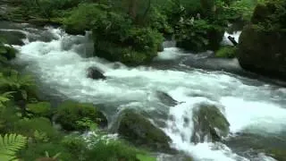 Relaxation Meditation Nature Scenes2-The Oirase Stream新緑の奥入瀬渓流2