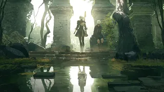 Gentle Stream Sounds - Nier Automata Ambience & Music - Relax, Study, Sleep, Vibe
