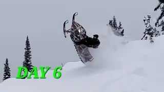 Sled CARNAGE! (DAY 5)