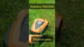 Robokos RM2500i что будет через 2 дня работы