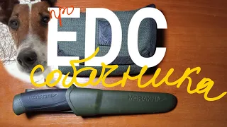 Про EDC СОБАЧНИКА в городе