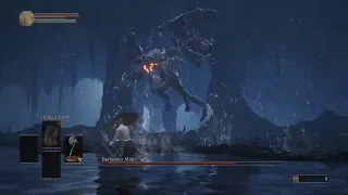 Darkeater Midir - SL1 NG+7 No Roll/Block/Parry/Rings/Buffs