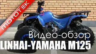 Детский Квадроцикл LINHAI-YAMAHA M125 | Видео Обзор | Тест Драйв от Mototek