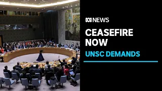 UN Security Council demands immediate ceasefire in Gaza after US abstains  from vote | ABC News