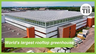 World's largest rooftop greenhouse opens in Montreal