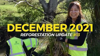 December 2021 | Reforestation Updates | One Tree Planted