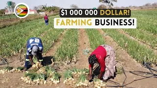 We became MILLIONAIRES!!! farming ONIONS in Zimbabwe!