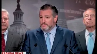 Ted Cruz makes dumbest move humanly possible at press conference