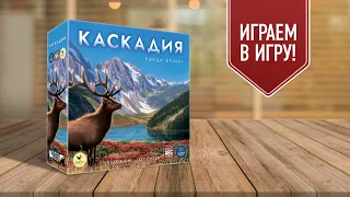 КАСКАДИЯ: играем в настольную игру | создаём экосистему в лесах Тихоокеанского Северо-Запада