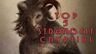 5 Strange Mysterious Creatures and Cryptids