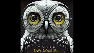 Yahel - Owl Coaster