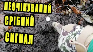 Знайшов у лісі забуті місця. Ніхто не міг подумати що тут є срібло.Пошук з металошукачем коп 2023