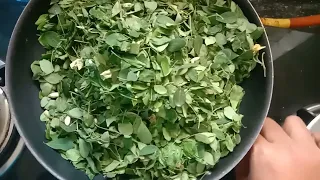 drumstick leaves powder recipe  idli or rice very tasty 😋🤤😋 and healthy