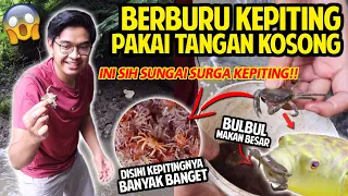 TANGKAP BANYAK KEPITING PAKAI TANGAN KOSONG! INI SUNGAI SURGANYA KEPITING! PUFFERFISH AUTO MUKBANG!