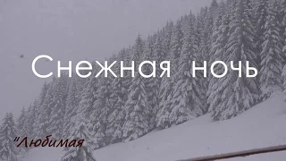 Снежная ночь