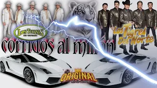 Corridos Al millón ✴️Los Tucanes De Tijuana 🆚Los Tigres Del Norte