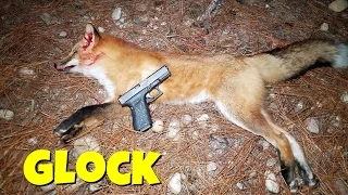 Predator Hunting With Glock 19! 9mm Predator Hunting!