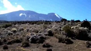 Charles Irion Murder On Kilimanjaro