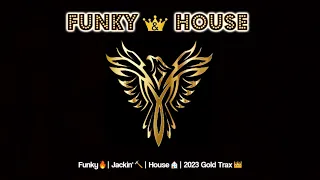 Funky & House Mix  👑 2023 Gold Volume 2 👑