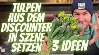 Frühlingsdeko Ideen - Tulpen aus dem Discounter in Szene setzten - 3 Ideen vom Profi mit 10 Tulpen