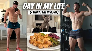 DAY IN THE LIFE / WHAT I EAT IN A DAY