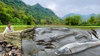 Full Video: Unique fishing unique fish trap Pumping natural lake water, Harvesting many big fish