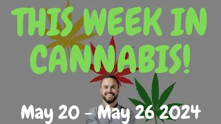 This Week in Cannabis News - May 20 to May 26 2024
