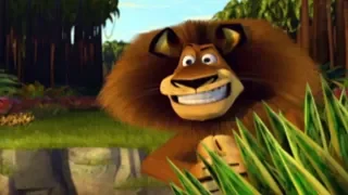 Madagascar Game Movie (All Cutscenes)