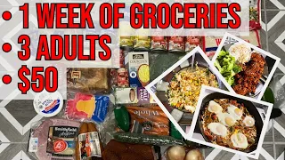 Realistic  Money Saving Grocery Budget • $50 for 3 Adults • What I Eat in a Normal Week