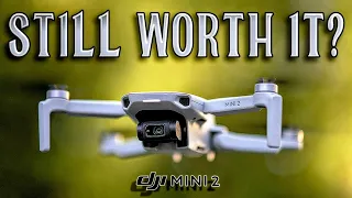 Is the DJI MINI 2 Still WORTH IT in 2024?