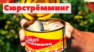 Сюрстрёмминг. Квашеная селедка | Как это сделано | Surströmming