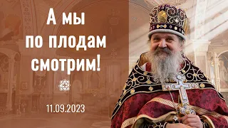 Сегодня день трезвости! Проповедь о. Андрея Лемешонка 11 сентября 2023