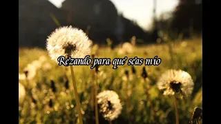 Cover en español - Dandelions Ruth B.. im in i feel of dandelions. julietachvz.